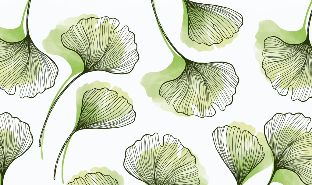 feuilles de Ginkgo Biloba pour soigner les acouphènes